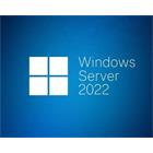 Win Server CAL 2022 Cze 1pk 5Clt Dev CAL OEM