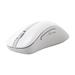 Asus Wireless Mouse MD102 Kancelářská Optická Pro praváky 1 600 DPI USB+BT Bílá