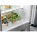 Electrolux 500 ColdSense LNS5LE18S