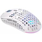 Endorfy LIX Plus OWH Wireless PAW3370