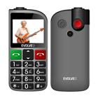 Evolveo EasyPhone FL, mobilní telefon pro seniory s nabíjecím stojánkem, stříbrná