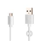 Fixed Dlouhý datový a nabíjecí kabel s konektory USB/micro USB, 2 metry, bílý