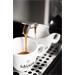 Gaggia Classic E24
