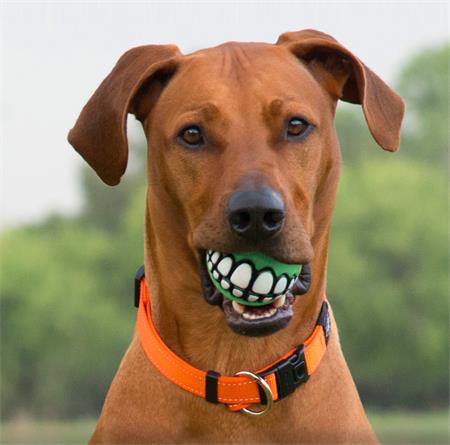 Gumový aportovací pískací míček "Smile" pro psy, průměr 7,5 cm
