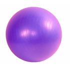 Gymy Míč ABS zesílený - fialový, průměr 65 cm