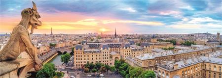 TREFL Panoramatické puzzle Výhled z katedrály Notre-Dame 1000 dílků; 116436