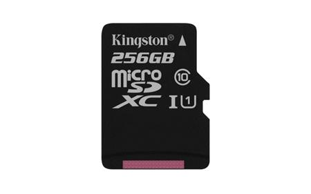 Kingston microSD Canvas Select 256GB