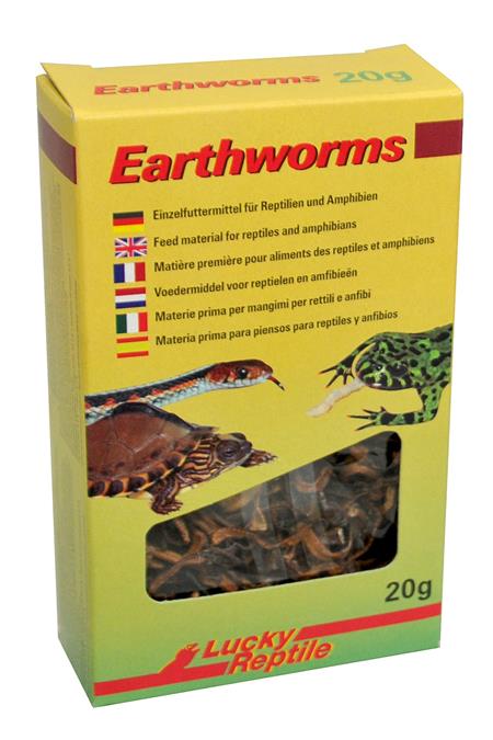 Lucky Reptile Earthworms 10g