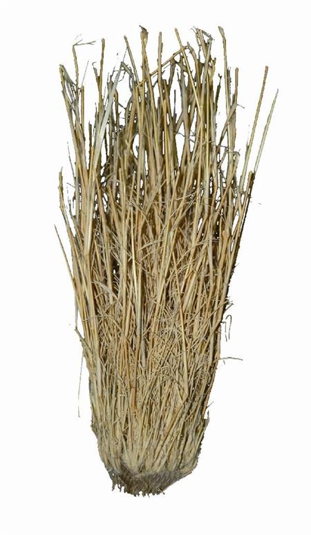 Lucky Reptile Grass Bushes 25-40 cm