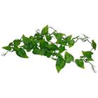 Lucky Reptile Jungle Vine Gape Leaf Vine cca 200 cm