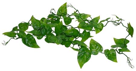 Lucky Reptile Jungle Vine Philo Vine cca 200 cm