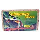 Lucky Reptile Sphagnum Moss - rašeliník 500g/25 l