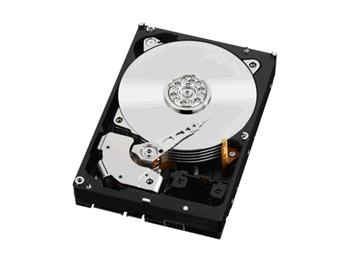 Western Digital Blue 1TB